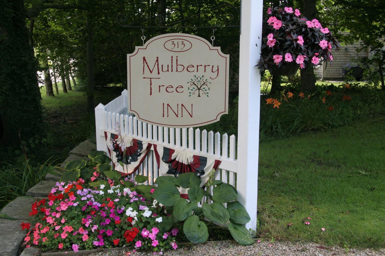 Mulberry Tree Alojamento de Acomodação e Pequeno-almoço